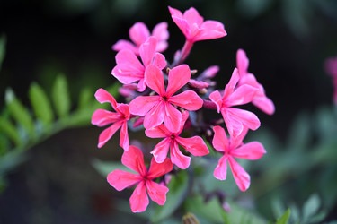 Similar image 22254201