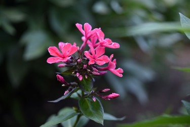 Similar image 22254202