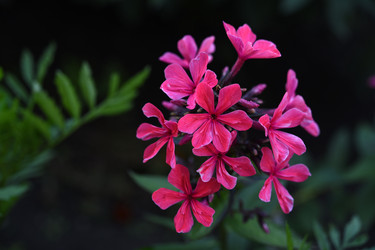 Similar image 22254203