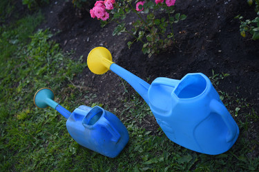 Similar image 22254205