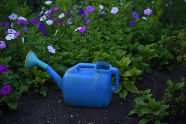 Similar image 22254206