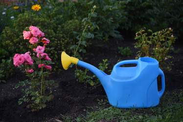 Similar image 22254207