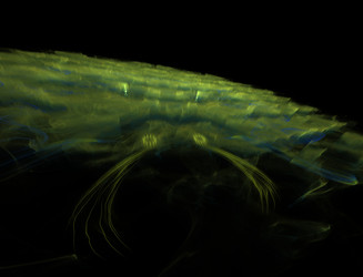 Similar image 22269232