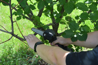 Similar image 22261857