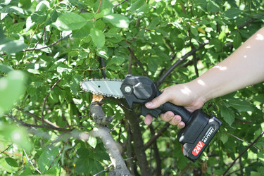 Similar image 22261859