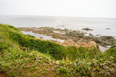 Similar image 22261886