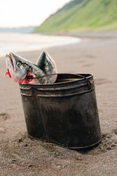 Similar image 22261887