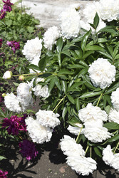 Similar image 22266201