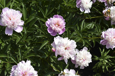 Similar image 22266202