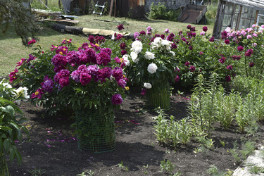 Similar image 22266204