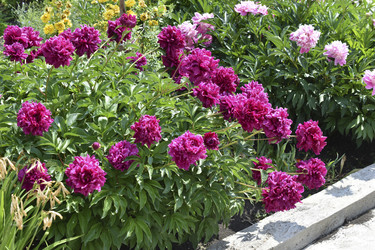 Similar image 22266205