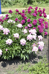 Similar image 22266206