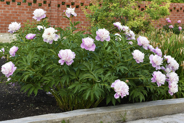 Similar image 22266207