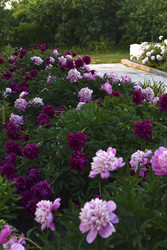 Similar image 22266209