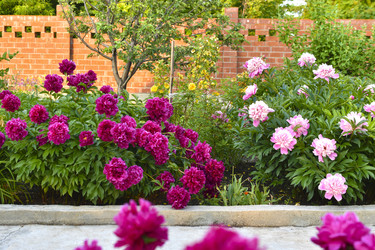 Similar image 22266210