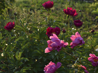 Similar image 22254004