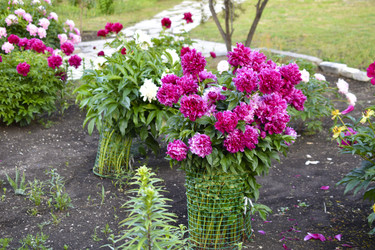 Similar image 22254005