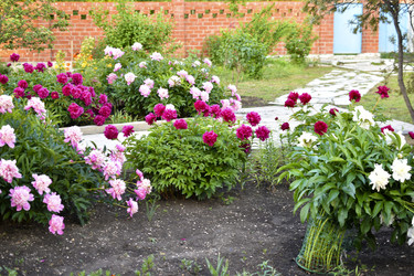 Similar image 22254006