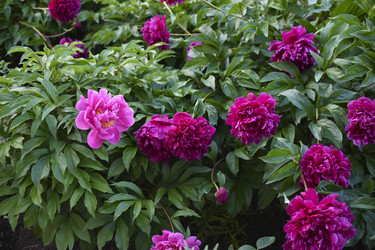 Similar image 22254008