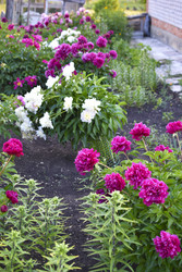 Similar image 22254009