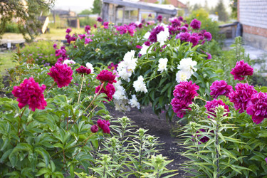 Similar image 22254010