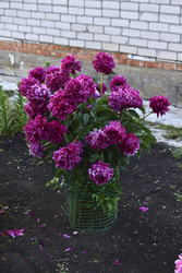 Similar image 22254013