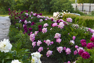 Similar image 22254014