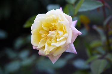 Similar image 22254025