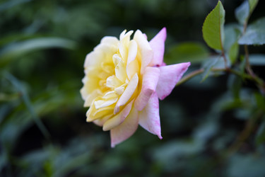 Similar image 22254026