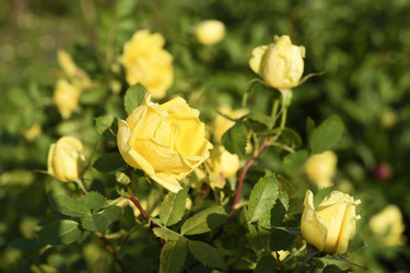 Similar image 22254027