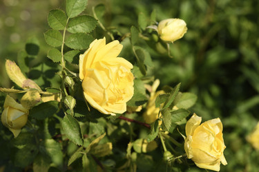 Similar image 22254028