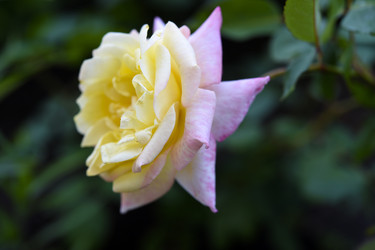 Similar image 22254029