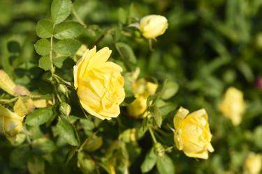 Similar image 22254030