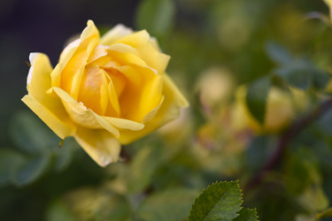 Similar image 22254031