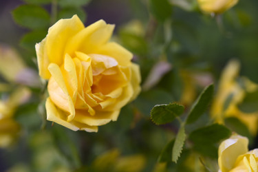 Similar image 22254032