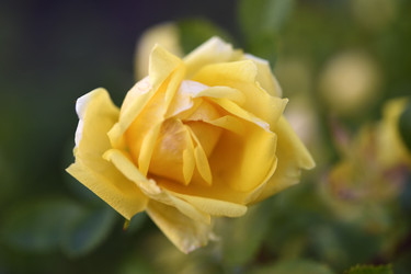 Similar image 22254033