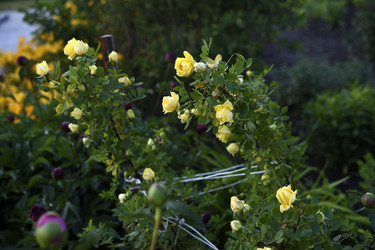 Similar image 22254036