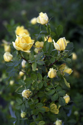 Similar image 22254220