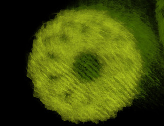 Similar image 22280333