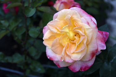 Similar image 22254041