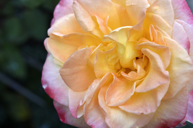 Similar image 22254044