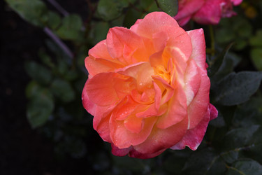 Similar image 22254047