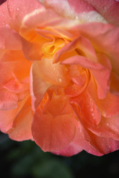 Similar image 22254048