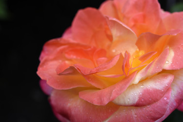 Similar image 22254222