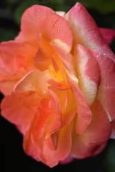 Similar image 22254223