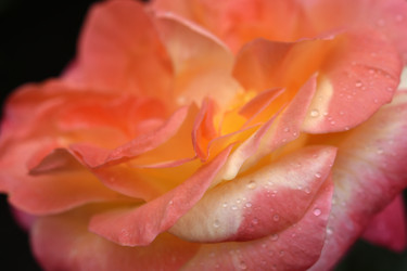 Similar image 22254224