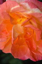 Similar image 22254225