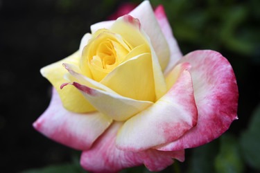 Similar image 22254226