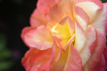 Similar image 22254229