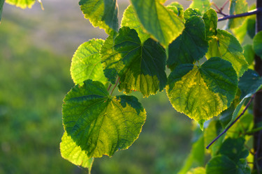 Similar image 22261962